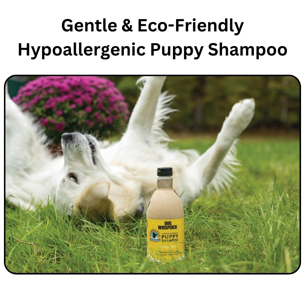 Gentle & Eco-Friendly Hypoallergenic Puppy Shampoo