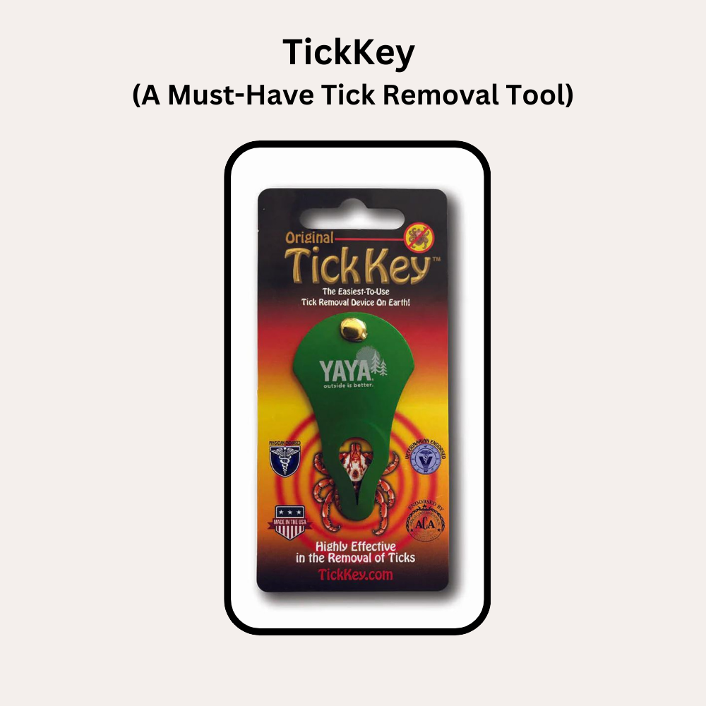 Best Tick Removal Tool - TickKey (A Must-Have Device)