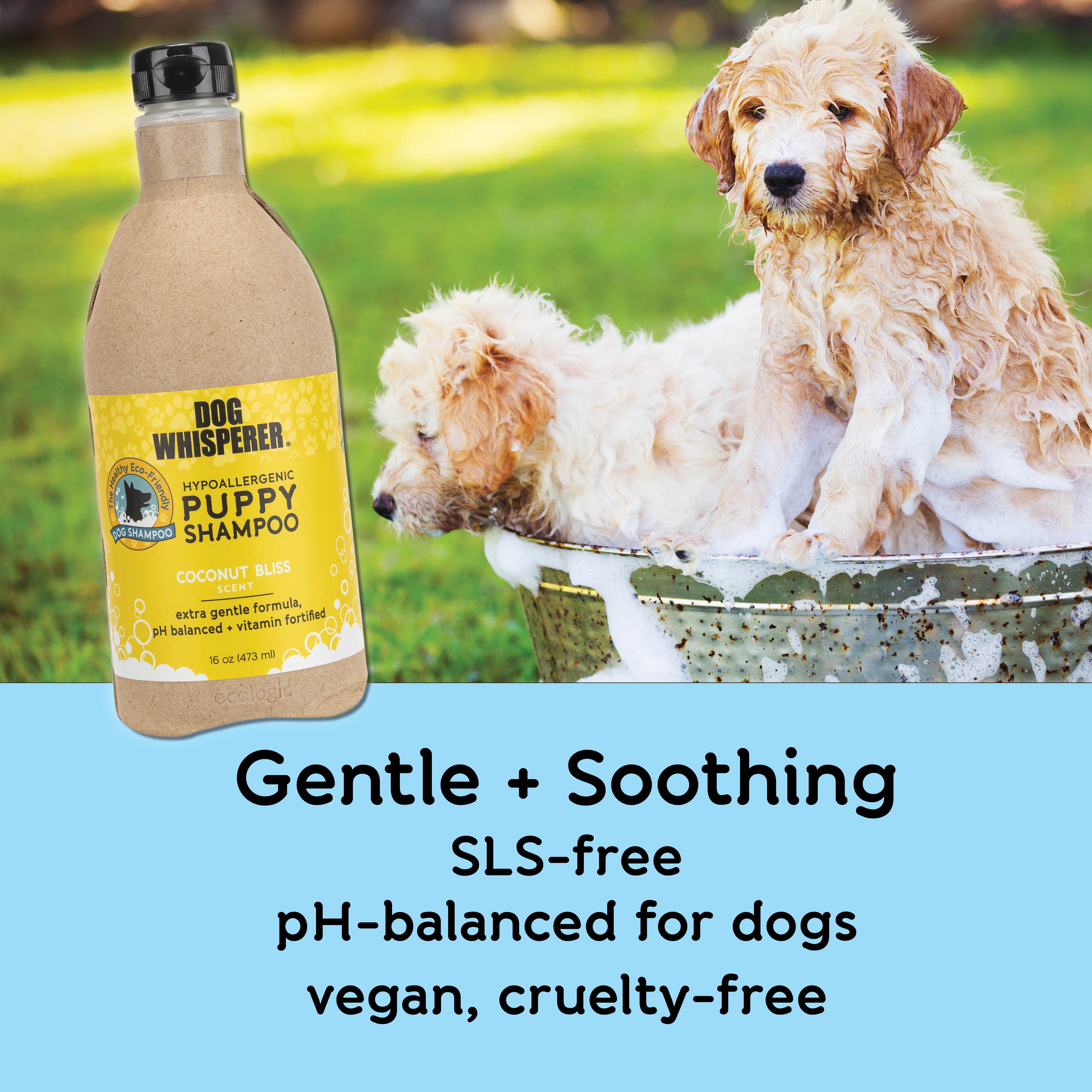 Healthy dog shampoo hotsell