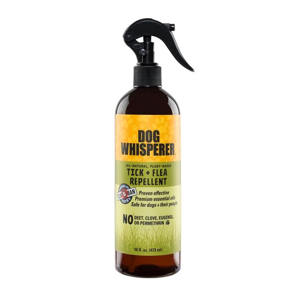 Dog Whisperer All Natural Tick Flea Repellent 16 oz YAYA Organics