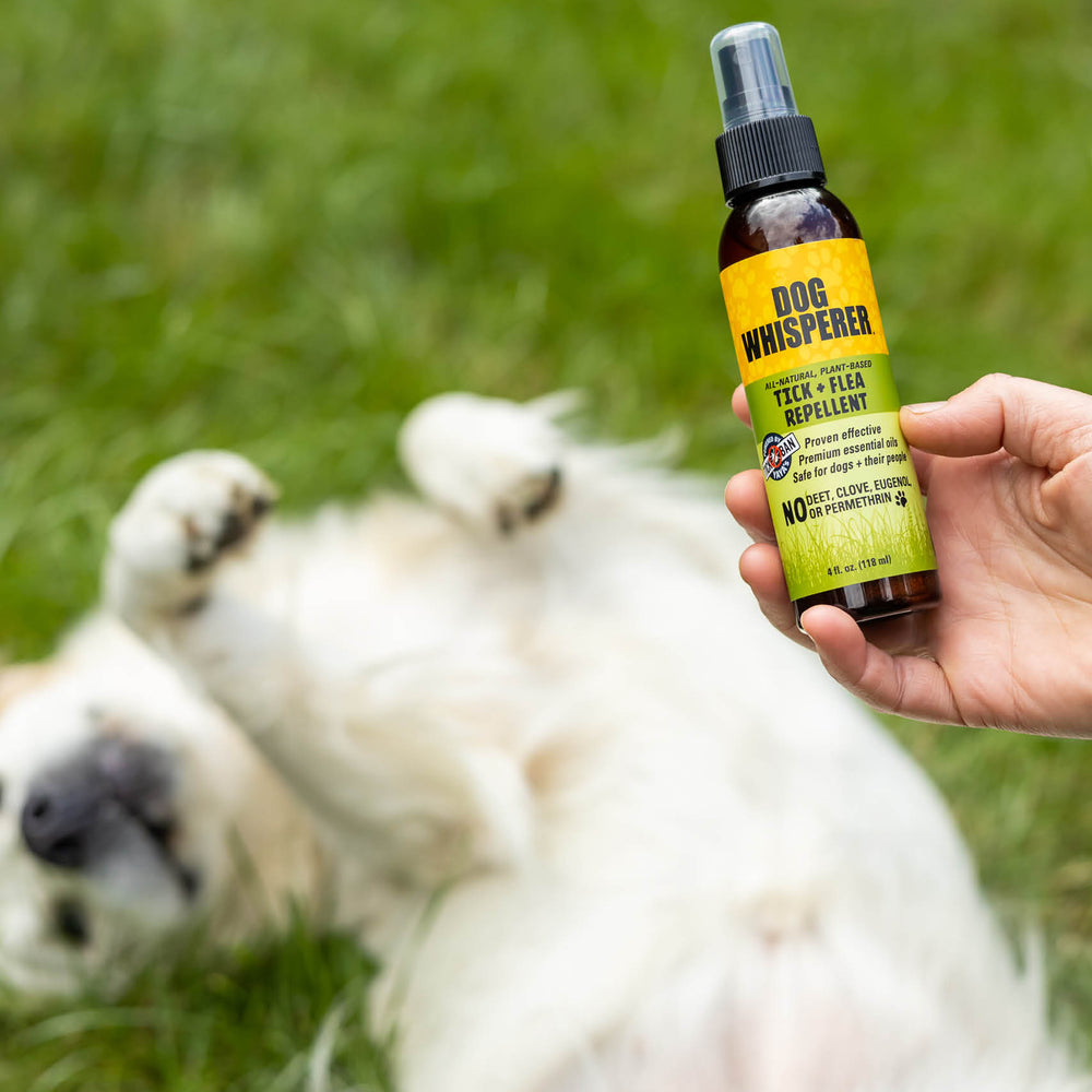 
                  
                    Dog Whisperer® Tick +Flea Natural Repellent Spray 4 oz
                  
                