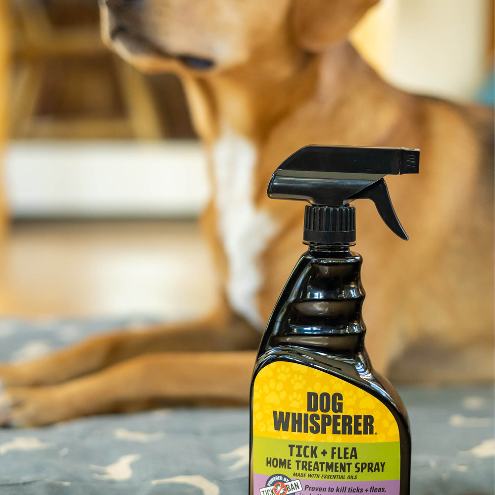 
                  
                    Dog Whisperer® Plant-powered Tick + Flea Bundle
                  
                