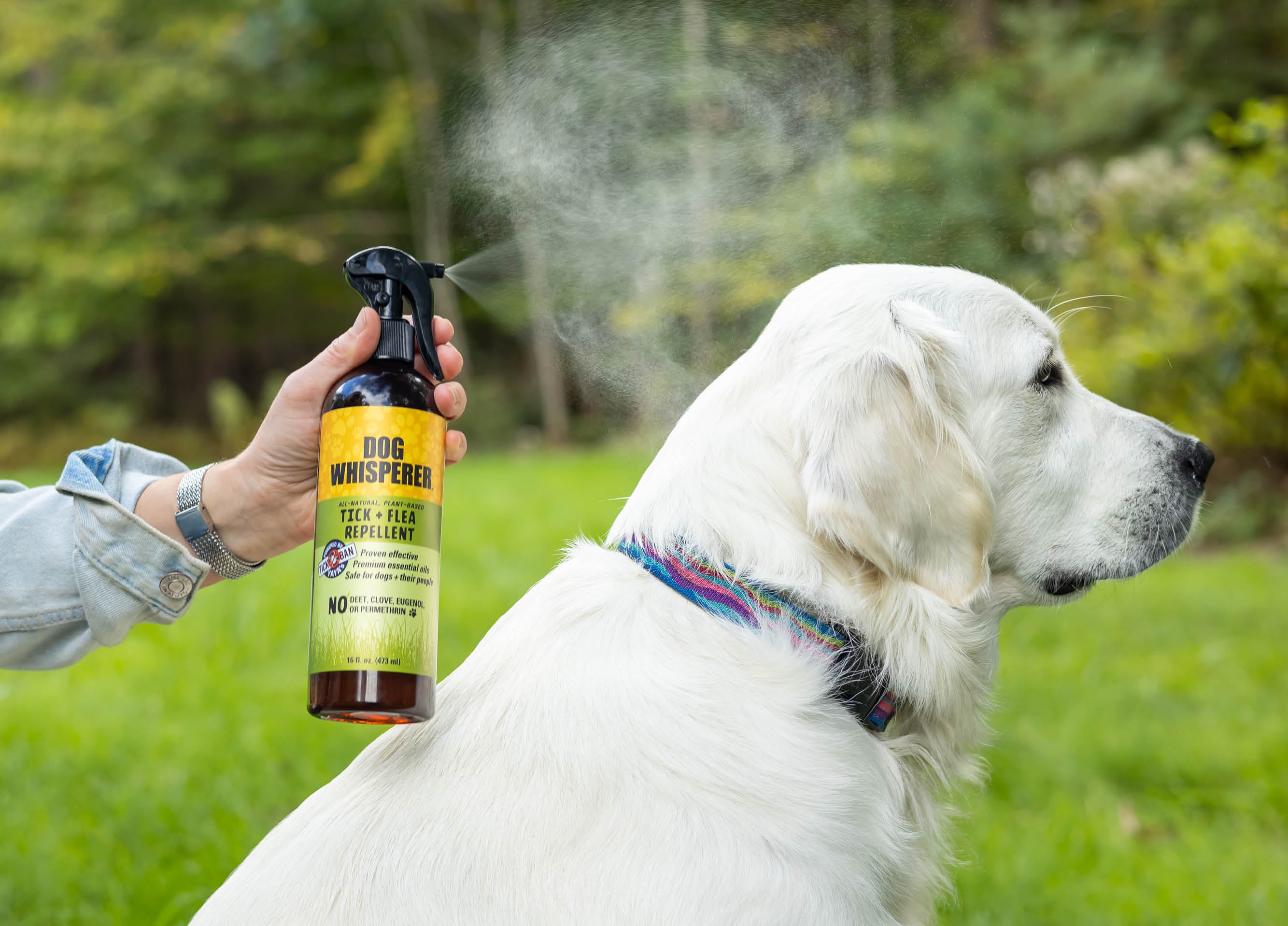 Dog Whisperer All Natural Tick Flea Repellent 16 oz YAYA Organics