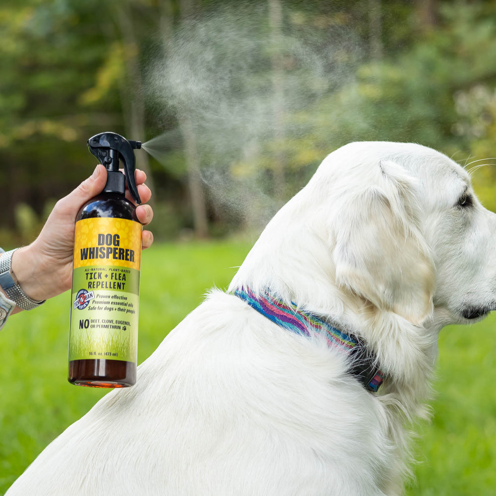
                  
                    Dog Whisperer® All-Natural Tick + Flea Repellent 16 oz
                  
                