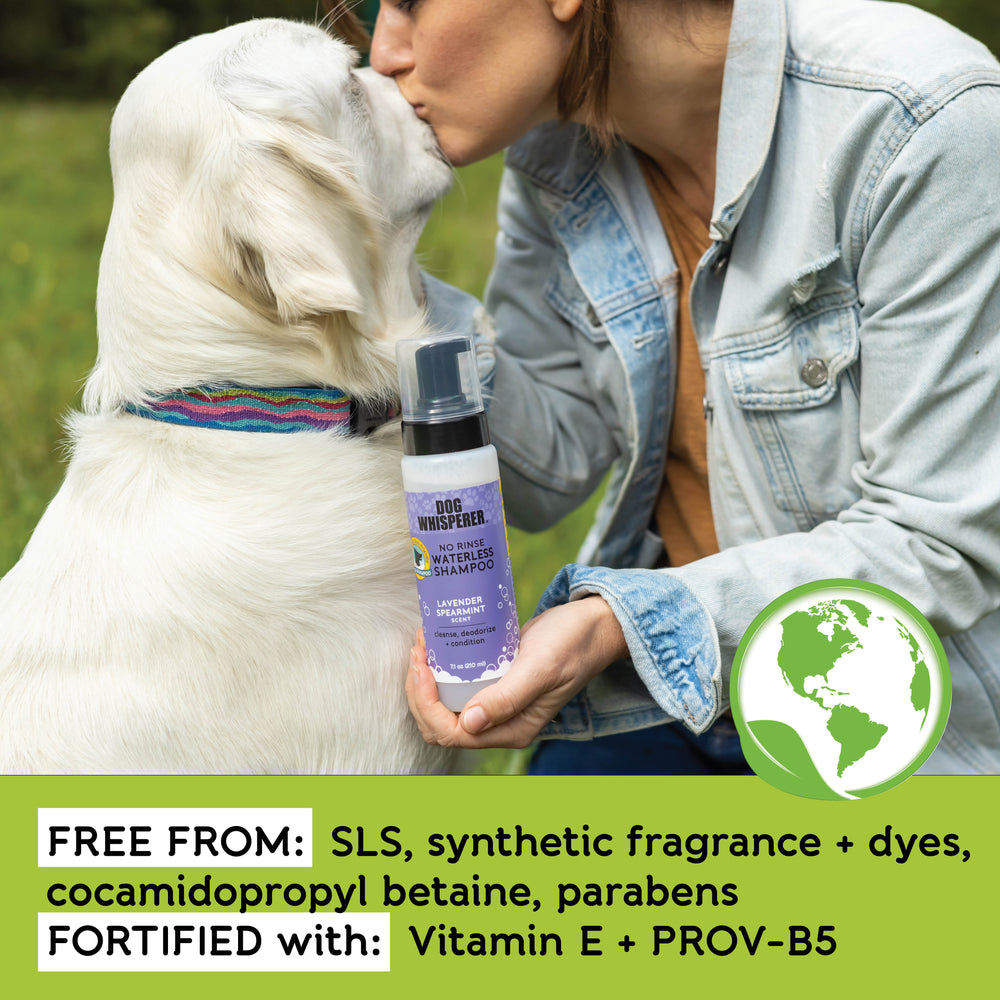 
                  
                    Dog Whisperer® Waterless Eco-Friendly Dog Shampoo - Lavender Spearmint
                  
                