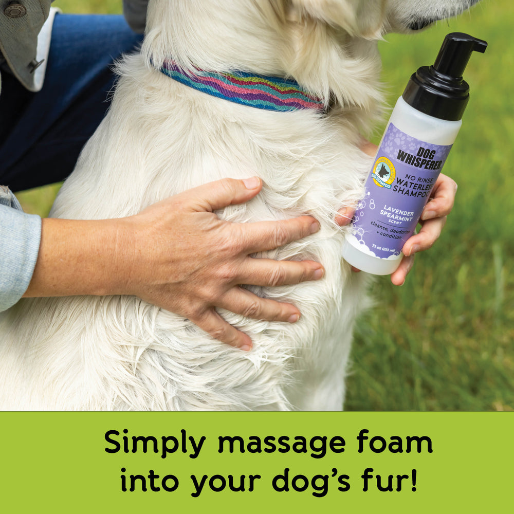 
                  
                    Dog Whisperer® Waterless Eco-Friendly Dog Shampoo - Lavender Spearmint
                  
                