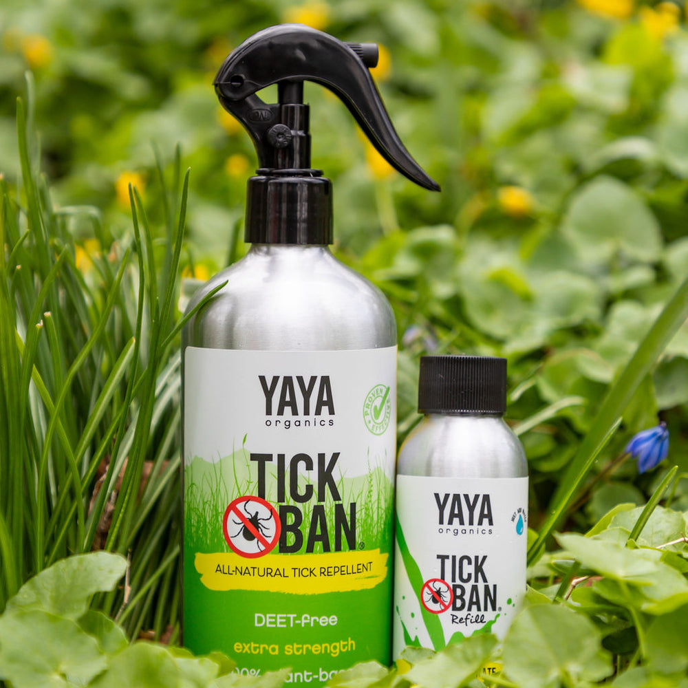 
                  
                    TICK BAN® All-Natural Tick Repellent (16 oz) + Refill Bundle
                  
                
